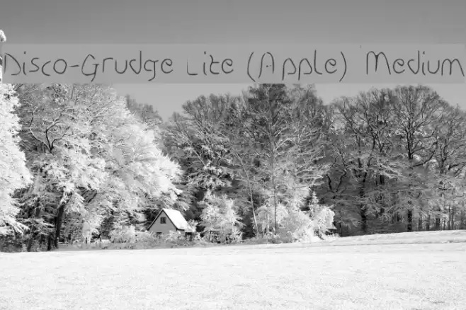 Disco-Grudge Lite (Apple) Medium フォント examples