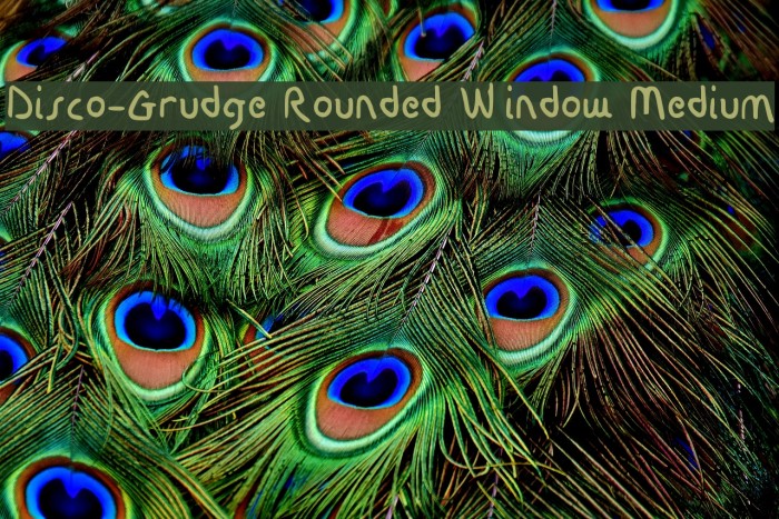 Disco-Grudge Rounded [Window] Medium Example 1