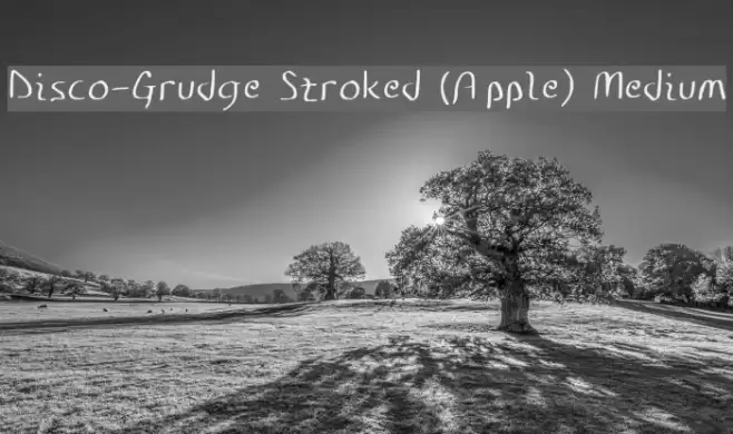 Disco-Grudge Stroked (Apple) Medium フォント examples
