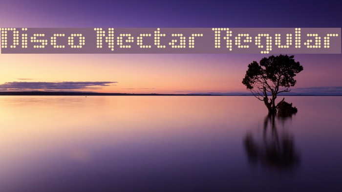 Disco Nectar Regular Font examples