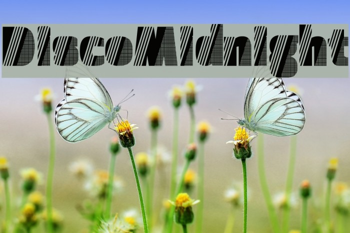 DiscoMidnight Font examples