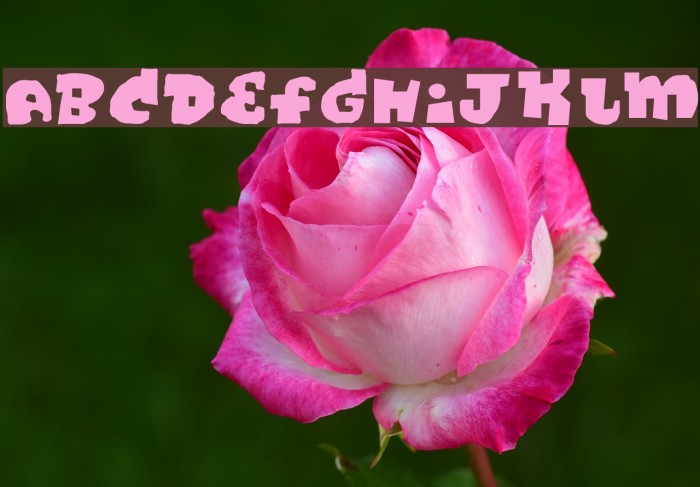 DiscoRegular Example 1