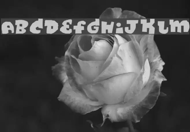 DiscoRegular Font examples