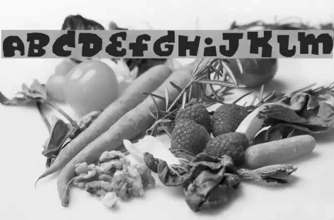 DiscoRegular Font examples