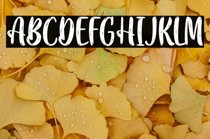 DiscoSocietyPersonalUse Example 2