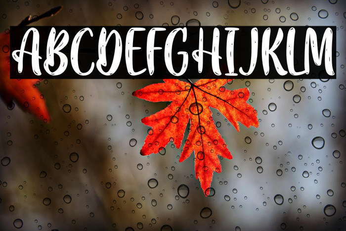 DiscoSocietyPersonalUse Example 3