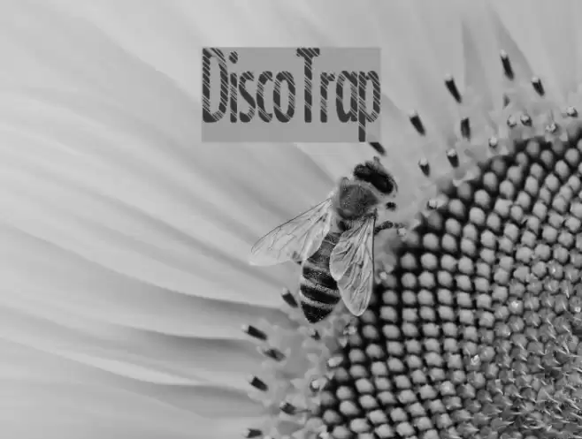 DiscoTrap Font examples