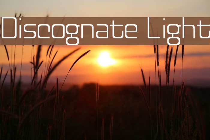 Discognate Light Font examples