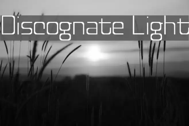 Discognate Light Caratteri examples