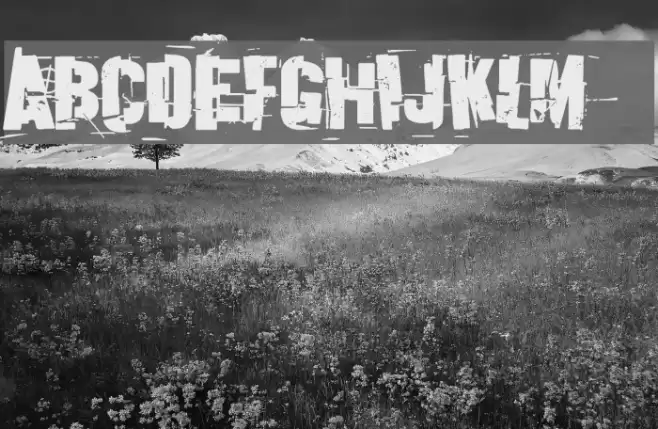 Discombobulated フォント examples