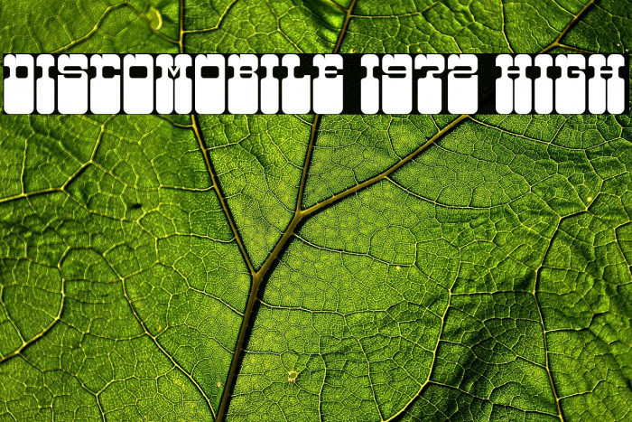 Discomobile 1972 High Example 2