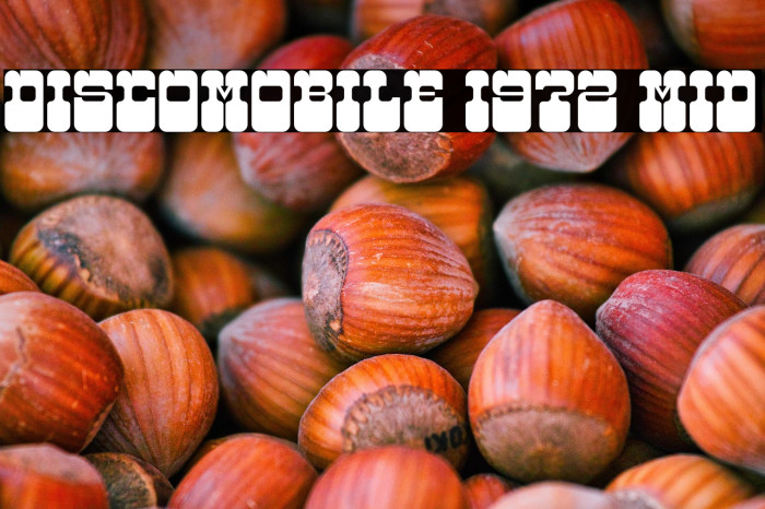 Discomobile 1972 Mid Example 2