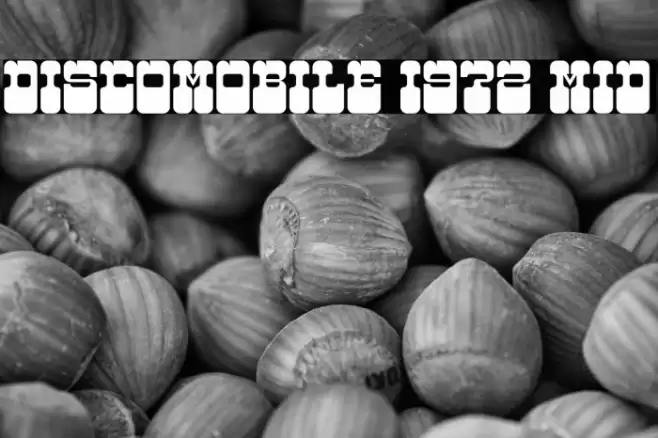 Discomobile 1972 Mid Caratteri examples