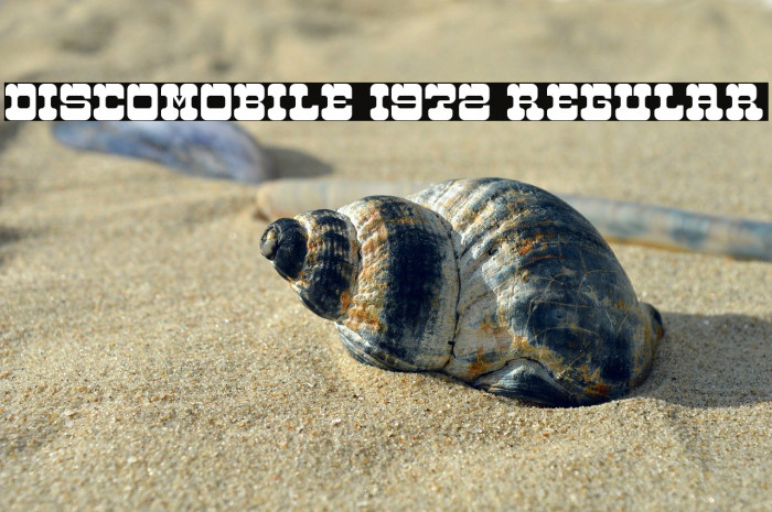 Discomobile 1972 Regular Example 2