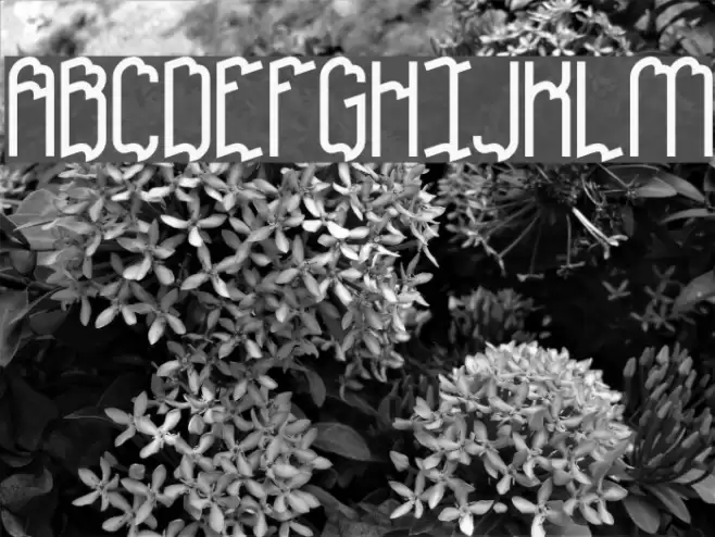 Discordance BRK Font examples