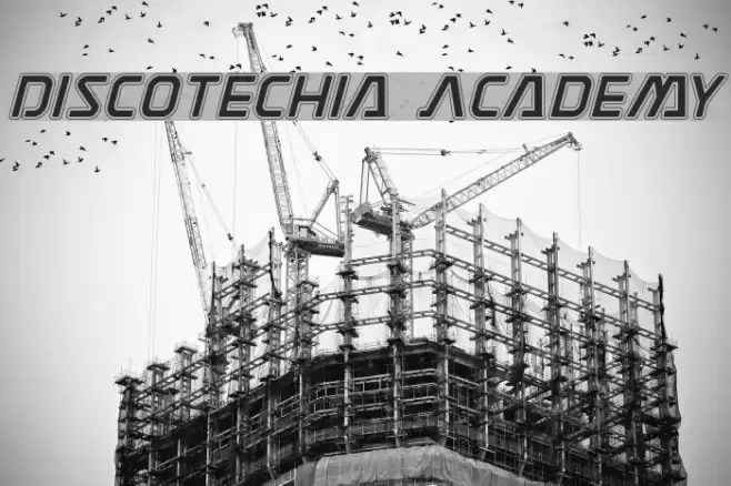 Discotechia Academy Font examples