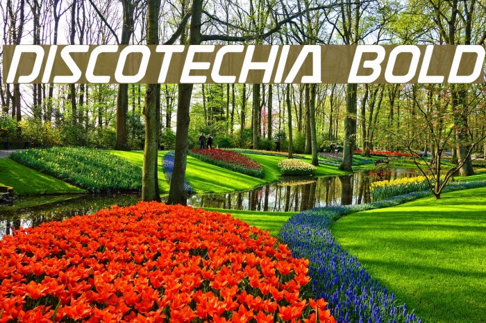 Discotechia Bold Font examples