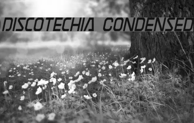 Discotechia Condensed Font examples