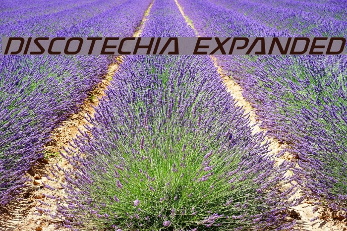 Discotechia Expanded Font examples