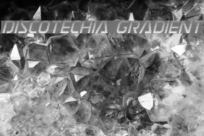 Discotechia Gradient Font examples