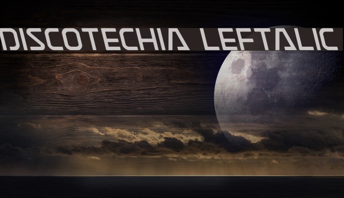 Discotechia Leftalic Font examples