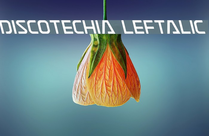 Discotechia Leftalic Font examples