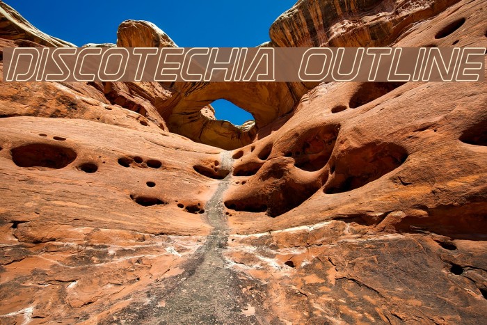 Discotechia Outline Example 2