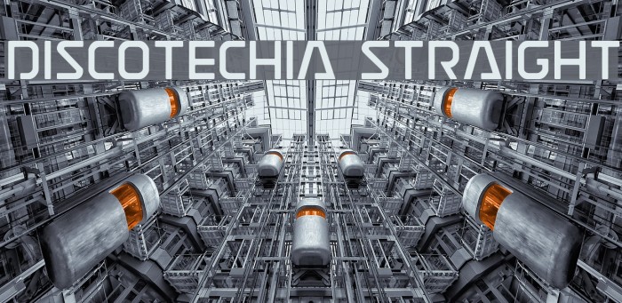 Discotechia Straight Font examples