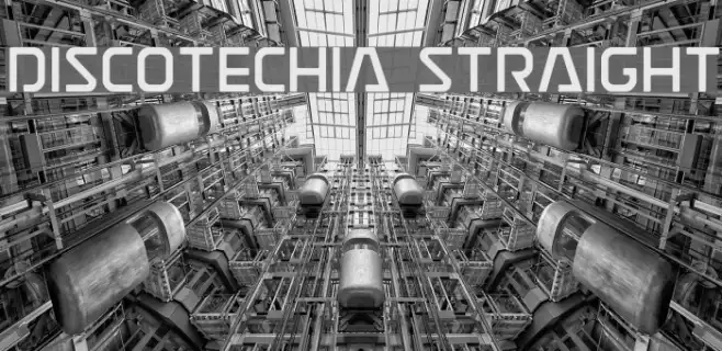 Discotechia Straight Example 1