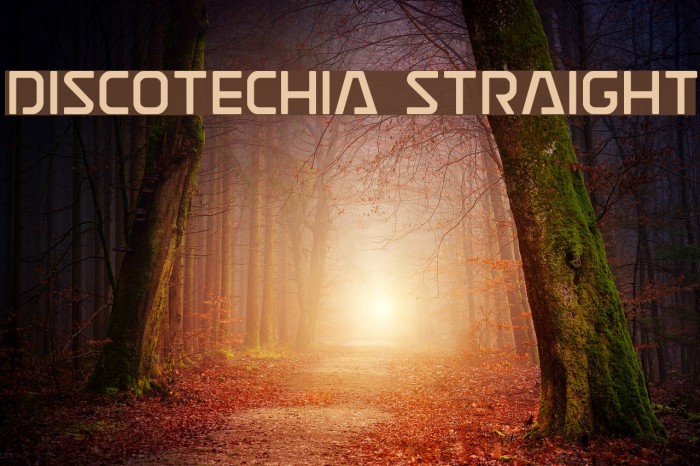Discotechia Straight Font examples