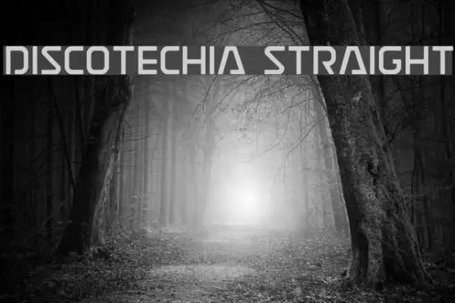 Discotechia Straight Example 3