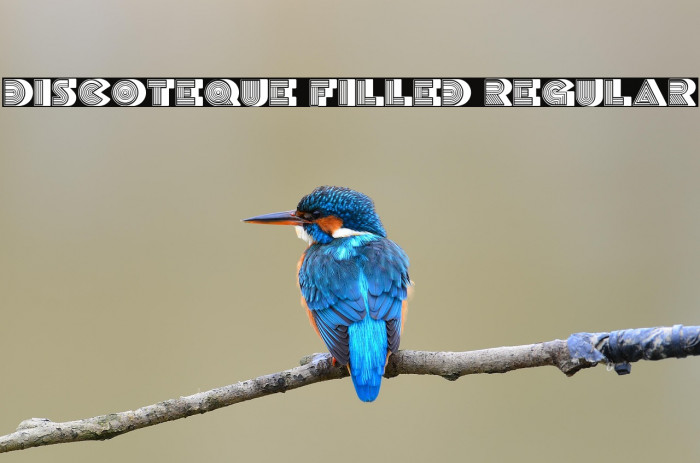 Discoteque Filled Regular Example 2