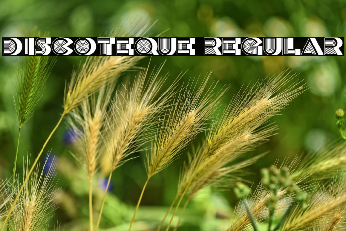 Discoteque Regular Example 2