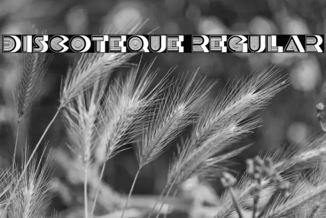 Discoteque Regular Font examples