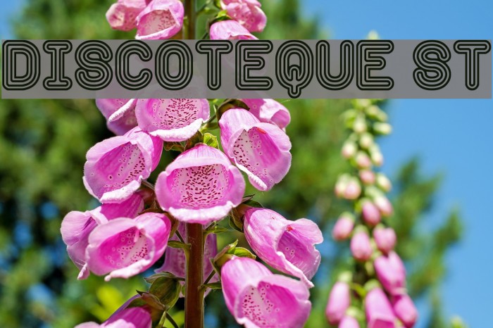 Discoteque St Example 2