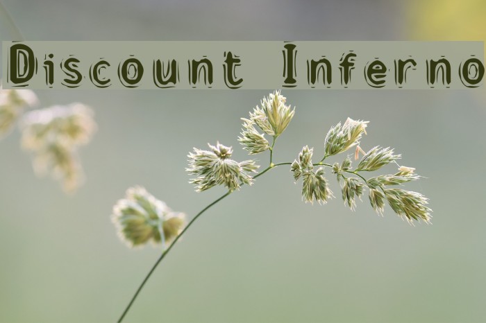 Discount Inferno Font examples
