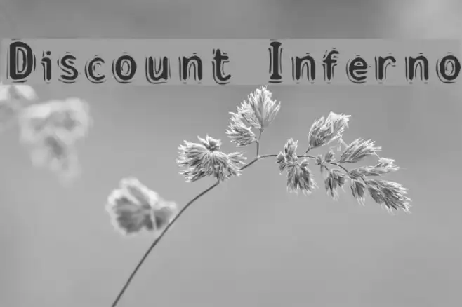 Discount Inferno Example 2