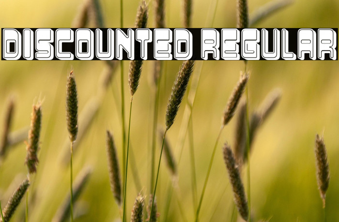 Discounted Regular Example 2