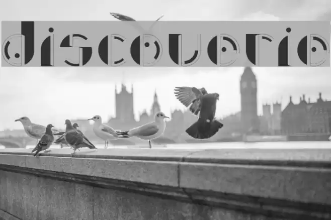 Discoverie Font examples