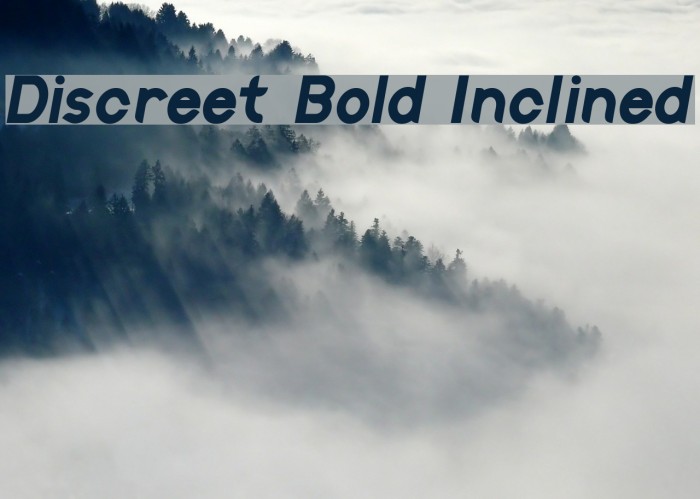 Discreet Bold Inclined Font examples