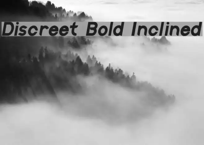 Discreet Bold Inclined Example 1