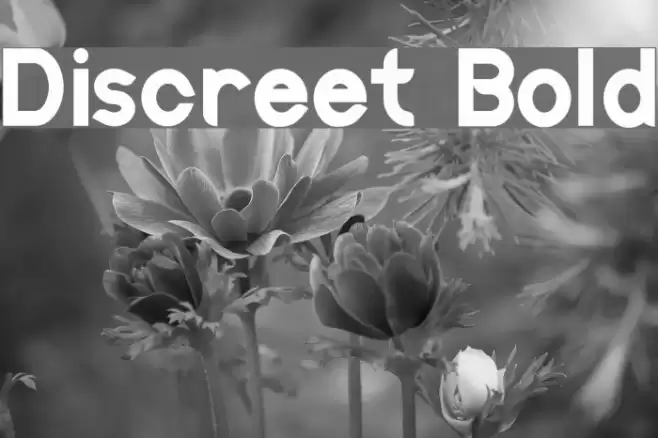 Discreet Bold Font examples