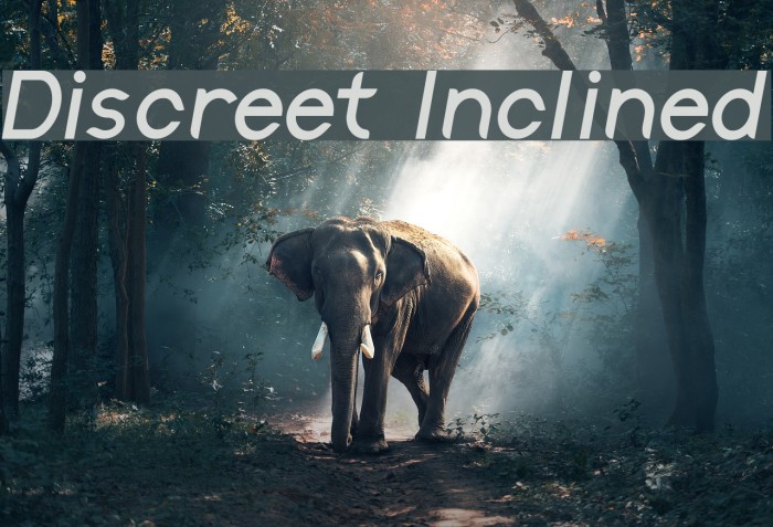 Discreet Inclined Font examples