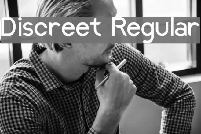 Discreet Regular Font examples
