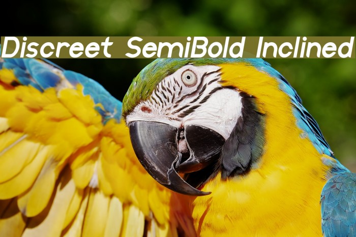 Discreet SemiBold Inclined Font examples