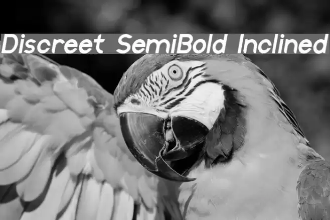 Discreet SemiBold Inclined examples