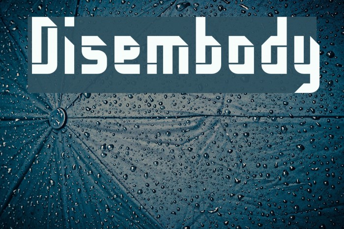 Disembody Font examples