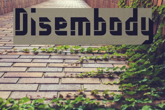 Disembody Font examples