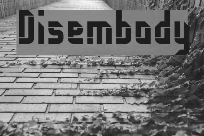 Disembody Example 2