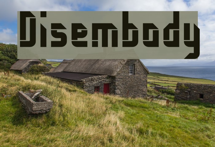 Disembody Font examples